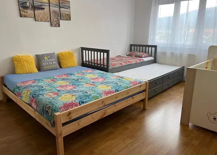 Rodinny 2 Izbovy V Centre